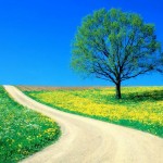Tuyển Mod trên toàn diễn đàn